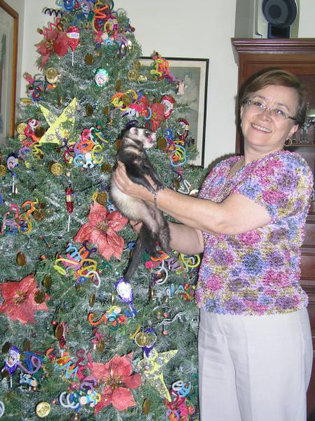 Virgilio navidad 2.jpg