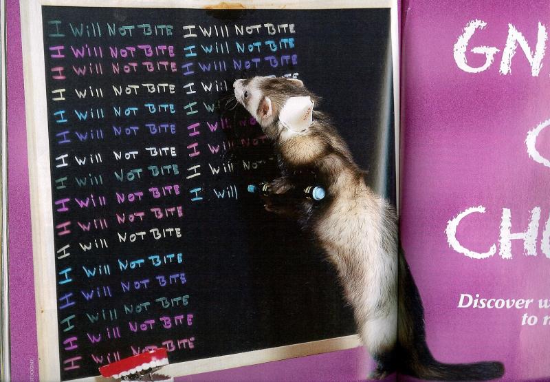 hur_n escribiendo_orig.jpg