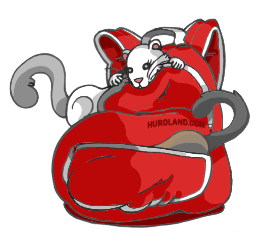 viajes gif(1)(1).gif