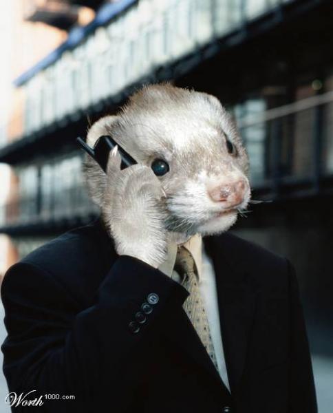 huron con telefono.jpg