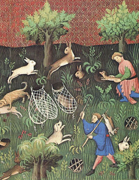 ferthist1.pintura hurones.gif