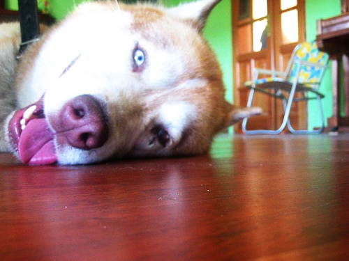 135394284_5aa9c50b30.jpg 135394284_5aa9c50b30.jpg