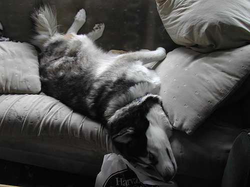 150641551_9ef8899bb3.jpg 150641551_9ef8899bb3.jpg