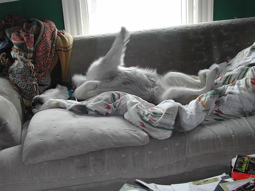 16776614_4ad3f7d0a5.jpg 16776614_4ad3f7d0a5.jpg