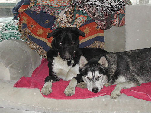 17909182_32d958502b.jpg 17909182_32d958502b.jpg