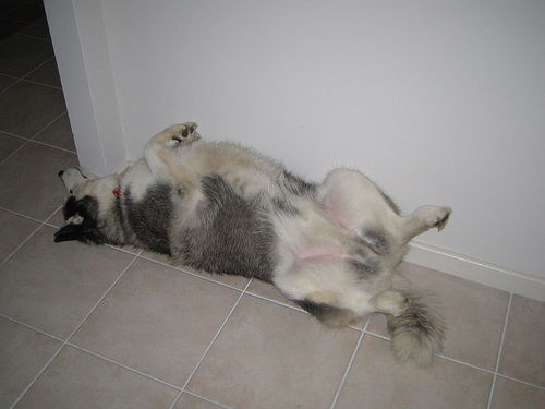 38820242_0a33f86690.jpg 38820242_0a33f86690.jpg