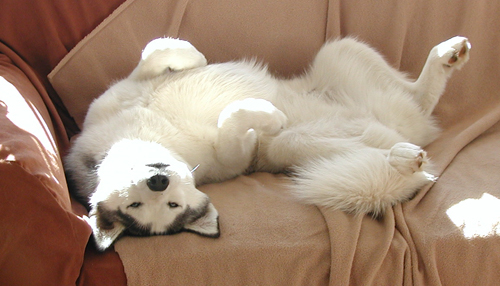 Upside Down Original.jpg Upside Down Original.jpg