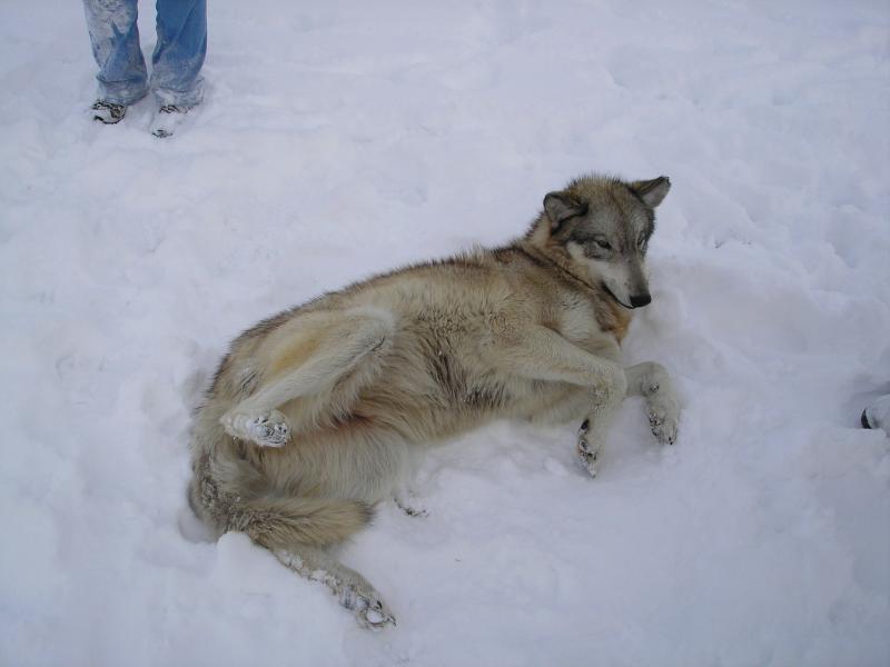 PC100055.jpg PC100055.jpg