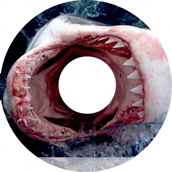 Cover03.jpg Cover03.jpg