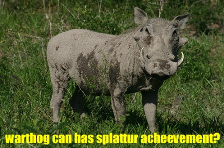 halolcats-warthog.jpg