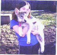 030309173826-195x190.jpg 030309173826-195x190.jpg