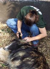 100_0468-164x225.jpg 100_0468-164x225.jpg