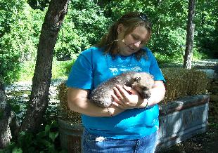 100_0770-310x218.jpg 100_0770-310x218.jpg