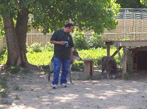 100_08092-300x223.jpg 100_08092-300x223.jpg