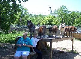 100_09112-270x197.jpg 100_09112-270x197.jpg