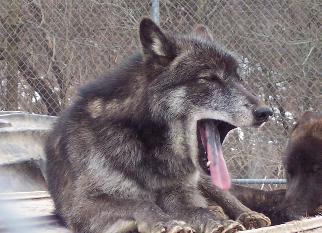 100_1689-322x233.jpg 100_1689-322x233.jpg