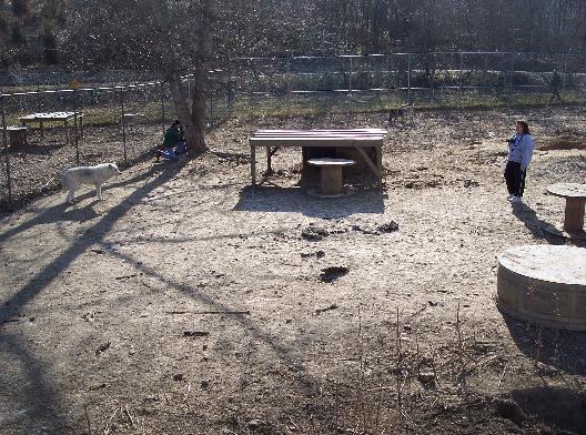 100_2058-528x392.jpg 100_2058-528x392.jpg