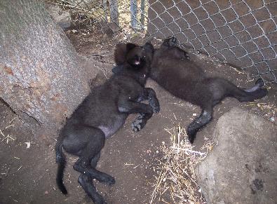 100_2123-395x291.jpg 100_2123-395x291.jpg