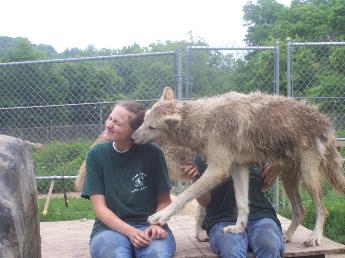 100_2321-345x258.jpg 100_2321-345x258.jpg