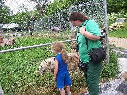 100_2333-250x187.jpg 100_2333-250x187.jpg