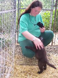 100_2335-187x250.jpg 100_2335-187x250.jpg