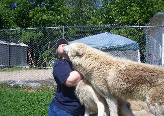 100_2445-330x235.jpg 100_2445-330x235.jpg