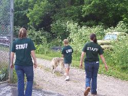 100_2476-250x187.jpg 100_2476-250x187.jpg