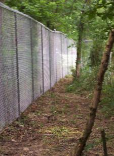 100_40032-225x309.jpg 100_40032-225x309.jpg