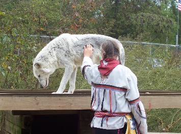 100_4072-355x264.jpg 100_4072-355x264.jpg