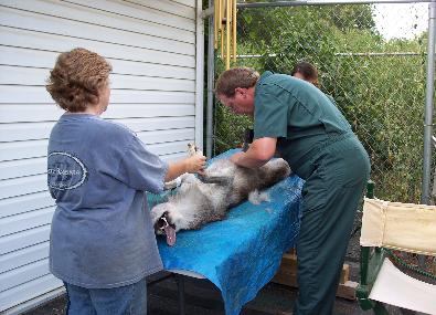 100_4200-395x285.jpg 100_4200-395x285.jpg