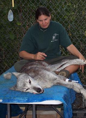 100_4216-285x390.jpg 100_4216-285x390.jpg