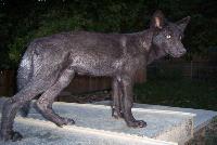 100_4243-200x134.jpg 100_4243-200x134.jpg