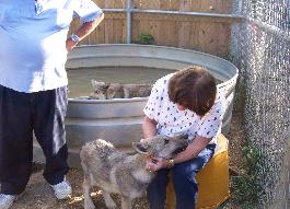 100_4416-265x191.jpg 100_4416-265x191.jpg