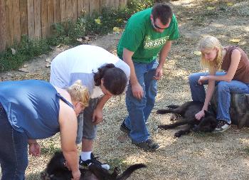 100_4428-350x253.jpg 100_4428-350x253.jpg