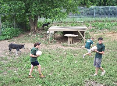 100_4702-384x282.jpg 100_4702-384x282.jpg