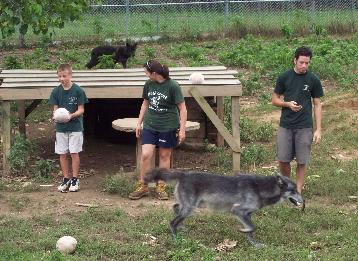 100_4711-358x261.jpg 100_4711-358x261.jpg