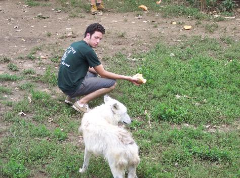 100_4744-474x352.jpg 100_4744-474x352.jpg