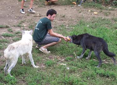 100_4745-373x273.jpg 100_4745-373x273.jpg