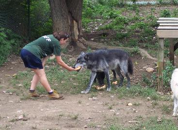 100_4747-367x268.jpg 100_4747-367x268.jpg