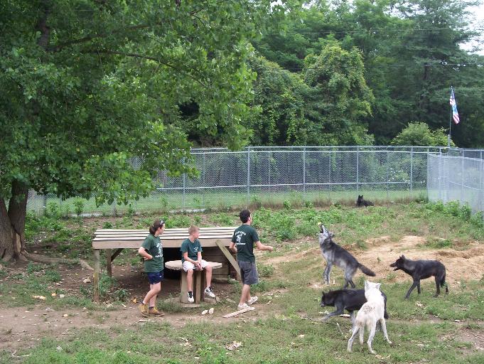 100_4763-681x512.jpg 100_4763-681x512.jpg