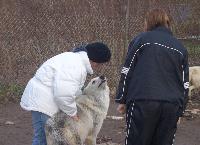 100_4815-200x145.jpg 100_4815-200x145.jpg