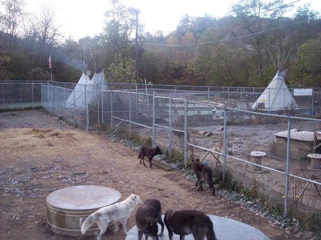 100_6180-632x473.jpg 100_6180-632x473.jpg