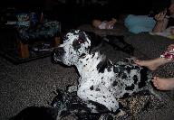 100_7164-192x133.jpg 100_7164-192x133.jpg