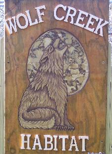 100_7985-226x311.jpg 100_7985-226x311.jpg