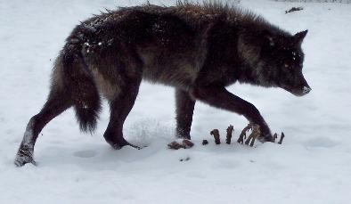 100_7989-394x229.jpg 100_7989-394x229.jpg