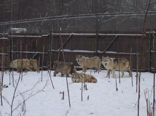 100_8114-600x449.jpg 100_8114-600x449.jpg