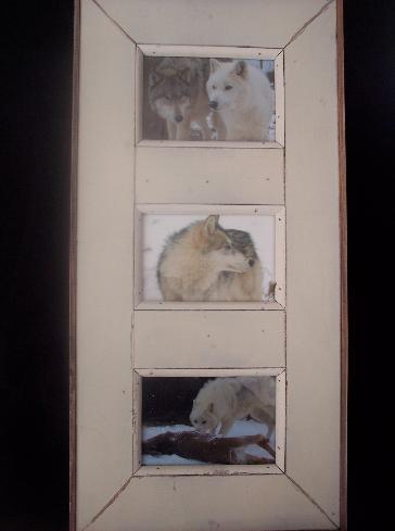 100_8317-364x489.jpg 100_8317-364x489.jpg