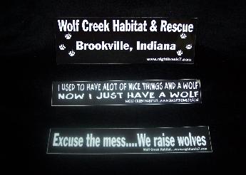 100_8321-345x246.jpg 100_8321-345x246.jpg