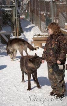 4743_std-220x345.jpg 4743_std-220x345.jpg