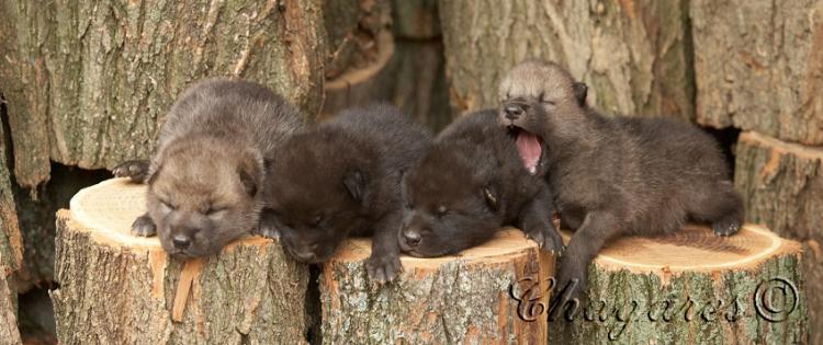 6989-750x315.jpg 6989-750x315.jpg